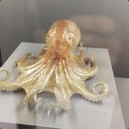 morikubo's Stream profile image