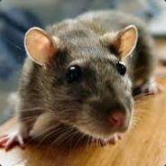 PacasLT's Stream profile image