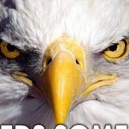 TJATTE's Stream profile image