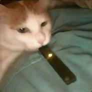 Trashlord's Stream profile image