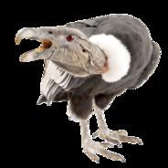 EL CONDOR's - Steam avatar