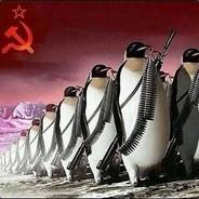 maximus760's Stream profile image