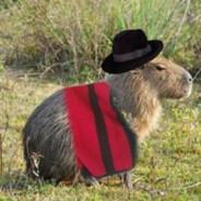 H.padii's Stream profile image