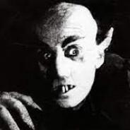 mamaturk's Stream profile image