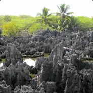 Ghunter's Stream profile image