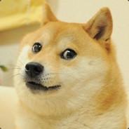 BirdDaughter's Stream profile image