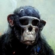 Po's Stream profile image