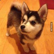 Kenzai's Stream profile image