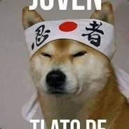 Sadek's Stream profile image