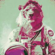 Lyon XPeriment's Stream profile image