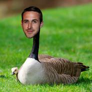 Ryan Goosling's Stream profile image