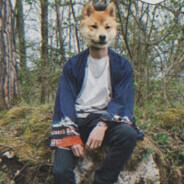F1zzle's Stream profile image