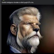 Hajšman 16's Stream profile image