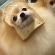 Dogeh's - Steam avatar