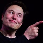 Elon musk's Stream profile image