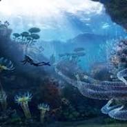 IllusiveJellyfish's - Steam avatar
