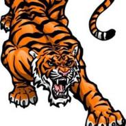 Resultof  - Crypto Tiger's Stream profile image
