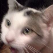 Geck's - Steam avatar