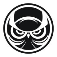 BlackOwl's - Steam avatar