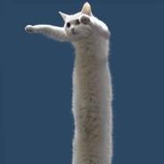 L0ngcat's - Steam avatar