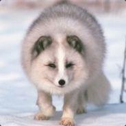 NicoZeta's Stream profile image
