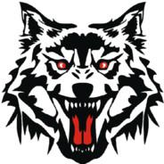 ZGyuge's Stream profile image
