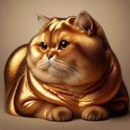shimalpopoca's Stream profile image