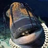 ШВАЛЬ СРАБОТАЛА's Stream profile image