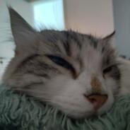 Catafrildo's Stream profile image