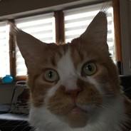 Painsen's Stream profile image