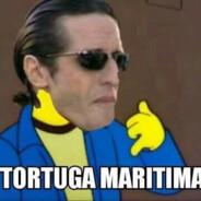 Tapa de Nalga 13's Stream profile image