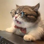 CatwithCurves's Stream profile image