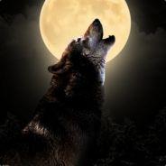 slmkc's Stream profile image