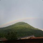 Wiiz'Ailes's Stream profile image