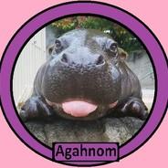 Agahnom's Stream profile image