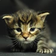 वीर's Stream profile image