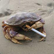 Slawter's Stream profile image