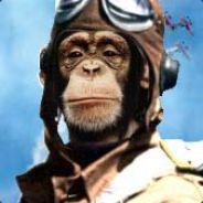 Monkey~Pilot's - Steam avatar