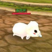 lovewei's Stream profile image