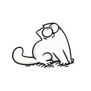 Cat's Stream profile image