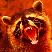 Wolfer's Stream profile image