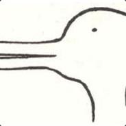 [WnG] ¬AvB's Stream profile image