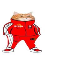 oboski's Stream profile image