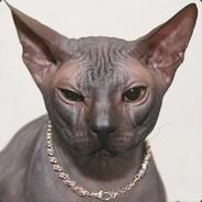 Sfinktor's Stream profile image
