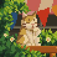 Steo's Stream profile image