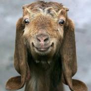 HuGoat24's - Steam avatar