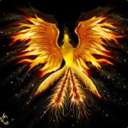 Cloudwalker's Stream profile image