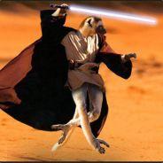 Po_Bro's Stream profile image
