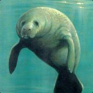 Manatee123's Stream profile image