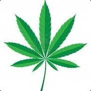 D.O.G.E.'s Stream profile image